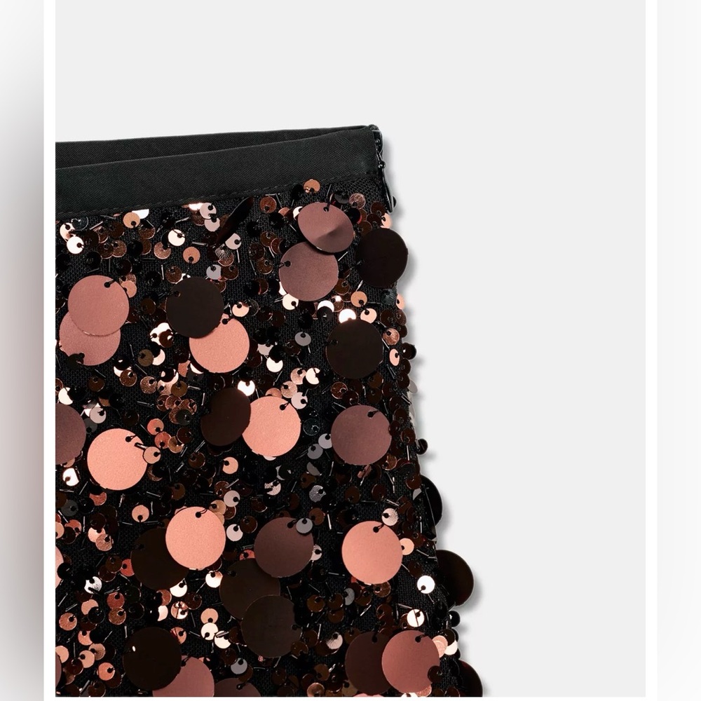 ❗️BUY NOW❗️WILL BE REMOVED SOON❗️Zara Sequin Mini Skirt - Picture 11 of 11